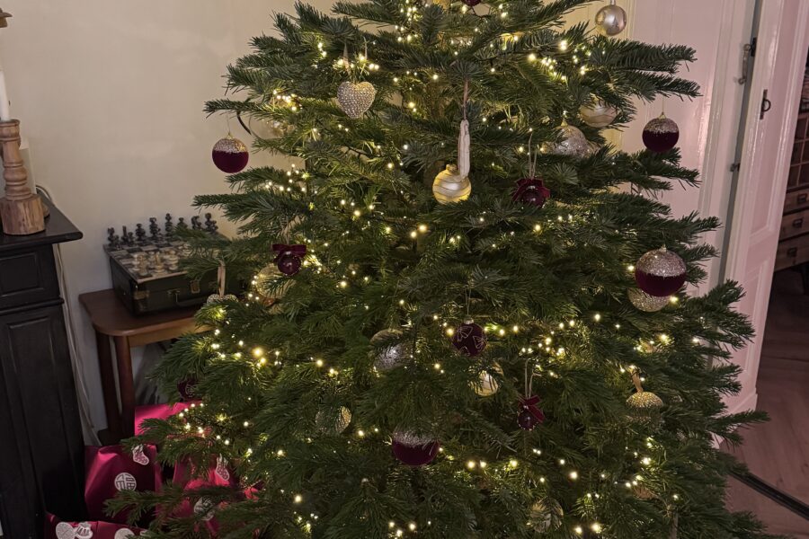 Gezondheid feestdagen tips van personal trainers coaches Visser Health Coach